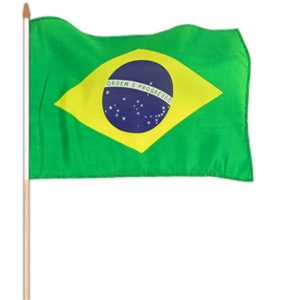 Brazílie vlajka 45x30cm