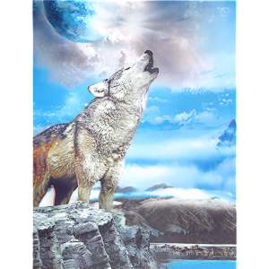 Obraz 3D Vlk vyjící