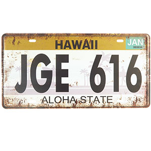 Retro cedule SPZ Hawaii Aloha 30x15cm